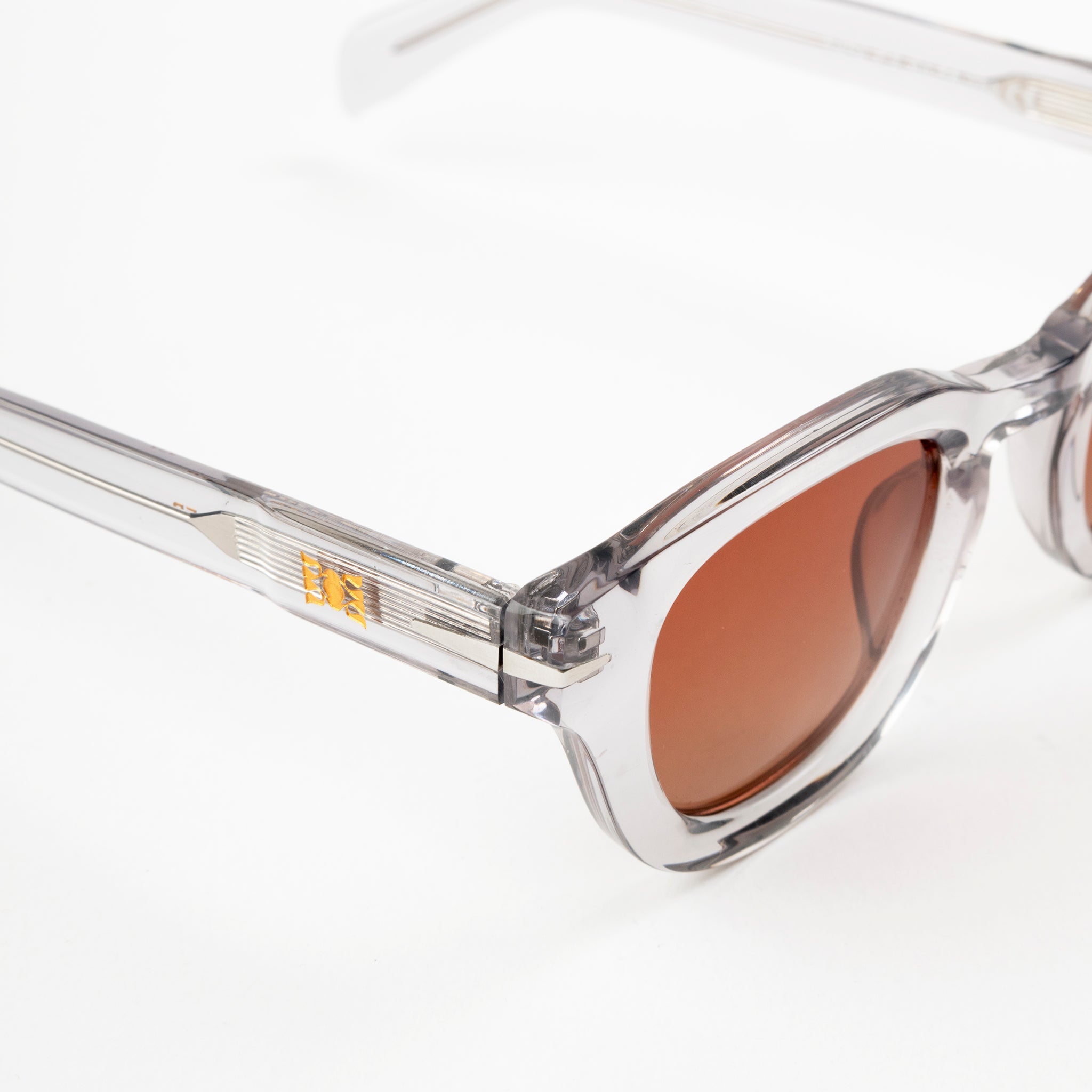 Leo Lentes de Sol Classic - Lentes | LUCKY TYGER