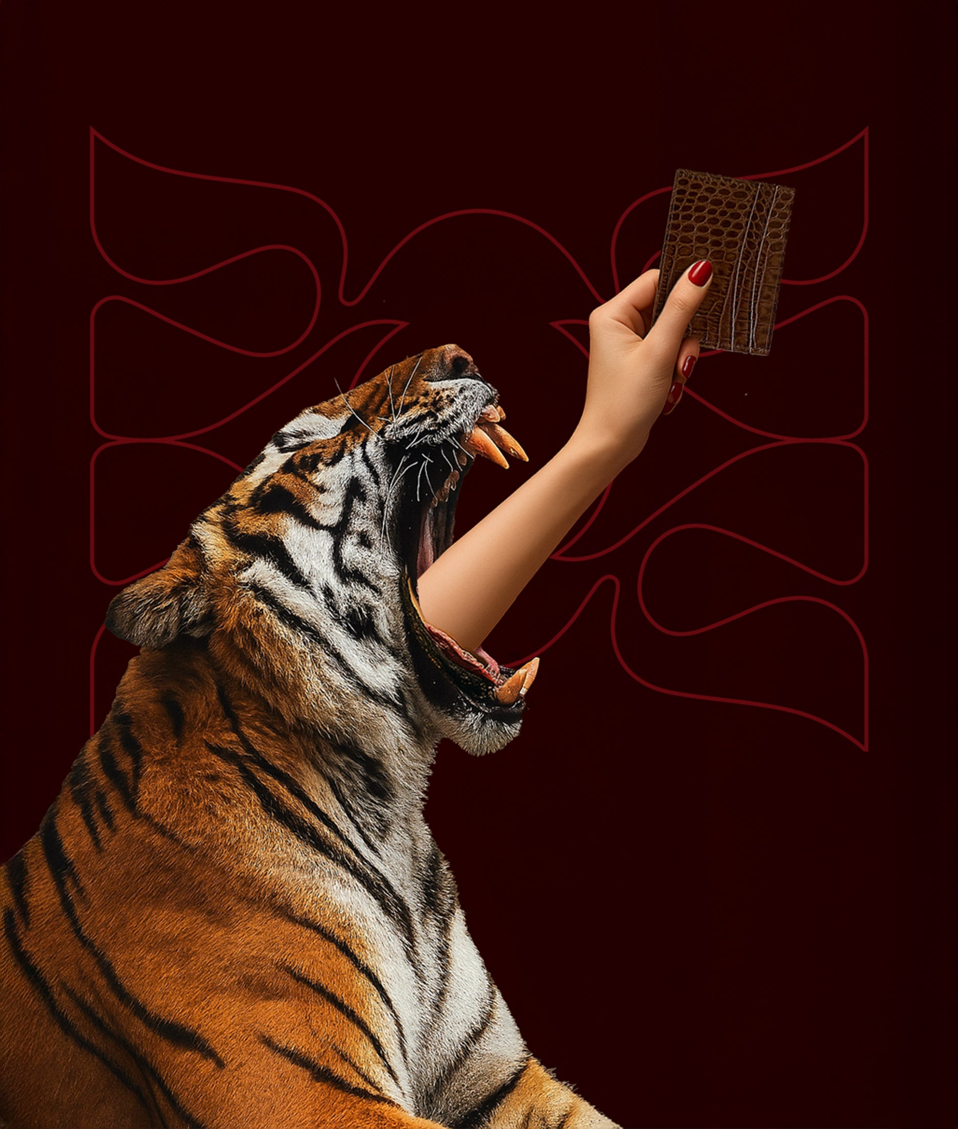 tyger-tarjetero.jpg